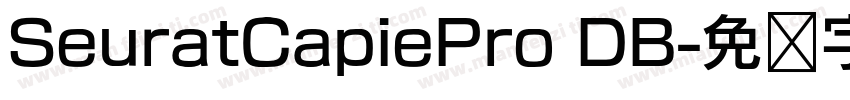SeuratCapiePro DB字体转换